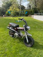 Skyteam dax, Fietsen en Brommers, Brommers | Honda, Ophalen, Overige modellen, Nieuw, Klasse B (45 km/u)