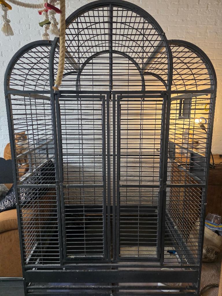 Papegaaienkooi, Ophalen, Gebruikt, Metaal, Vogelkooi