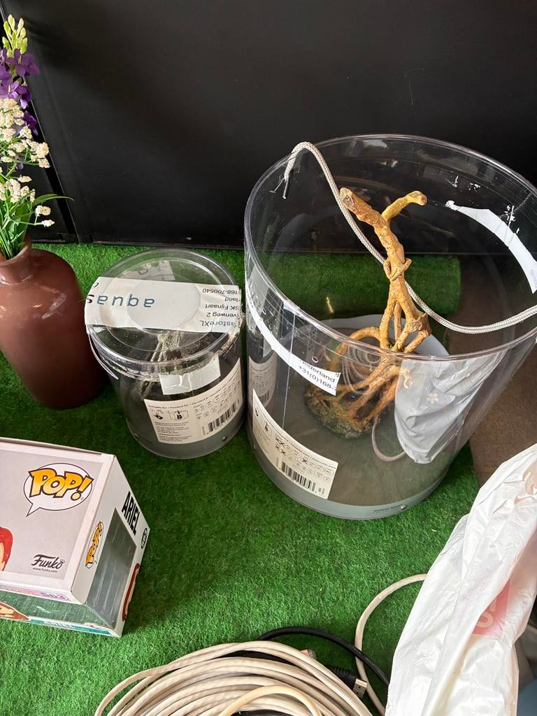 Biorb aquarium ornamenten, Ophalen of Verzenden, Zo goed als nieuw