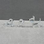 Swarovski Set van drie Hondtjes, Enlèvement ou Envoi, Neuf, Figurine