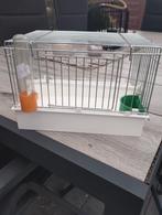 6 baby kooien zie omschrijving