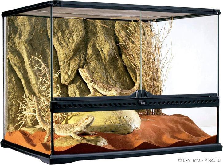 Exo terra terrarium, Animaux & Accessoires, Oiseaux | Accessoires, Comme neuf, Enlèvement