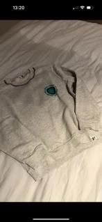CKS 10 jaar, Ophalen of Verzenden, Zo goed als nieuw, Jongen, Trui of Vest