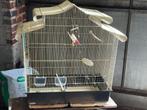 Vogelkooien, Ophalen, Vogelkooi