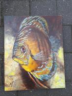 Olieverschilderij op hout voor de visliefhebber, Animaux & Accessoires, Poissons | Poissons d'aquarium