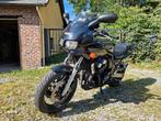 Yamaha fazer 600, Particulier, Sport