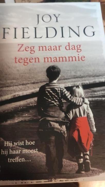 Joy Fielding - Zeg maar dag tegen mammie, Boeken, Thrillers, Zo goed als nieuw, Ophalen of Verzenden