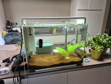Superfish 80L wit beschikbaar voor biedingen
