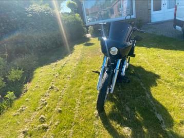 Harley-Davidson FXST Softail standard noir vif, 1745 cm³, Plus de 35 kW, Particulier