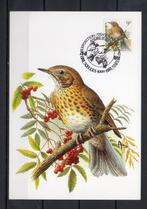 Année 1991 : Carte maximum 2426 - Oiseaux - Grive musicienne, Enlèvement ou Envoi