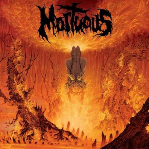 Mortuous ‎– Upon Desolation(LP/NIEUW), CD & DVD, Vinyles | Hardrock & Metal, Neuf, dans son emballage, Envoi