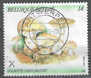 Belgie 1991 - Yvert/OBP 2419 - Natuur - Paddestoelen (ST) beschikbaar voor biedingen