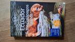 Reisgids Lonely planet Ecuador & Galapagos, Livres, Guides touristiques, Enlèvement, Amérique du Sud, Utilisé, Lonely Planet