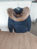 Vest superdry met afneembare kap, maat M, Kleding | Dames, Jassen | Winter, Maat 38/40 (M), Ophalen of Verzenden, Zo goed als nieuw