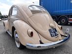 VOLKSWAGEN KLASSIEKE KEVER OVALI (1956) BEIGE, IN NIEUWSTAAT, 4 zetels, Beige, Handgeschakeld, 2 deurs