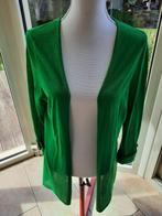 Mooi vestje MAYERLINE - M, Comme neuf, Vert, Taille 38/40 (M), Mayerline