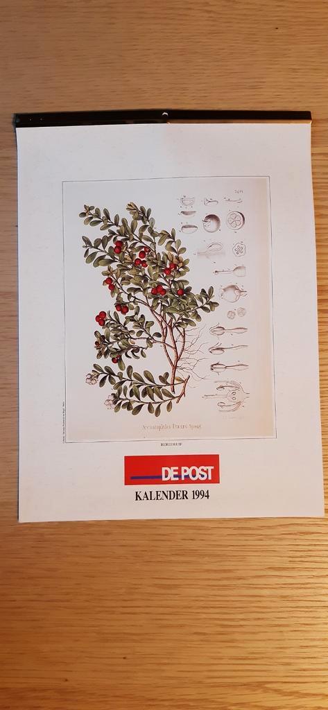 De Post kalender 1994 - planten, Diversen, Kalenders, Zo goed als nieuw, Maandkalender, Ophalen of Verzenden