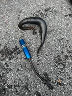 50/70 hebo uitlaat voor derbi euro 2 3 4, Fietsen en Brommers, Ophalen of Verzenden