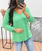 Lichte trui, Kleding | Dames, Ophalen of Verzenden, Nieuw, Maat 38/40 (M)