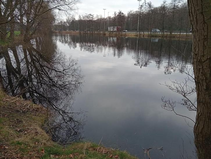 karpervissen privevijver, Watersport en Boten, Hengelsport | Karpervissen, Nieuw, Overige typen, Ophalen