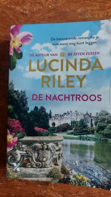 De nachtroos beschikbaar voor biedingen