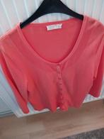 Trui merk E5 mode net als nieuw te koop.maat L, Vêtements | Femmes, Pulls & Gilets, Enlèvement, Comme neuf, Taille 42/44 (L)