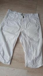 Witte Bermuda Angelo Litrico, Ophalen, Angelo Litrico, Wit, Nieuw