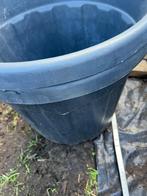 grote plantenkuip boomcontainer 43 x 35 cm, Tuin en Terras, Kunststof, 40 cm of meer, Rond, Zo goed als nieuw