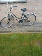 Fiets Ludo, Fietsen en Brommers, Overige merken, Versnellingen, Ophalen of Verzenden, 53 tot 56 cm