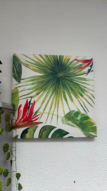 schillderij vogel nosntera plant decoration  beschikbaar voor biedingen