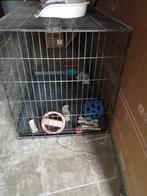 Hondenbench xxl, Dieren en Toebehoren, Hondenbenches, Ophalen, Gebruikt