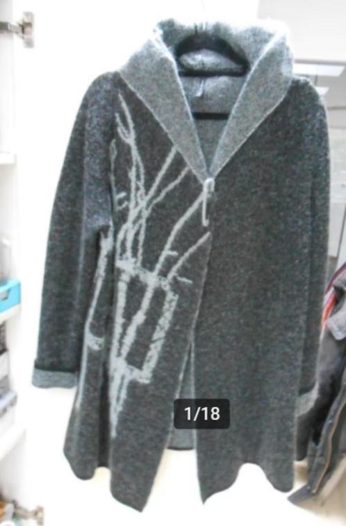 Sarah Pacini, Kleding | Dames, Truien en Vesten, Zo goed als nieuw, Grijs, Ophalen of Verzenden