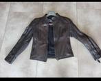 Veste moto femme dainese 44