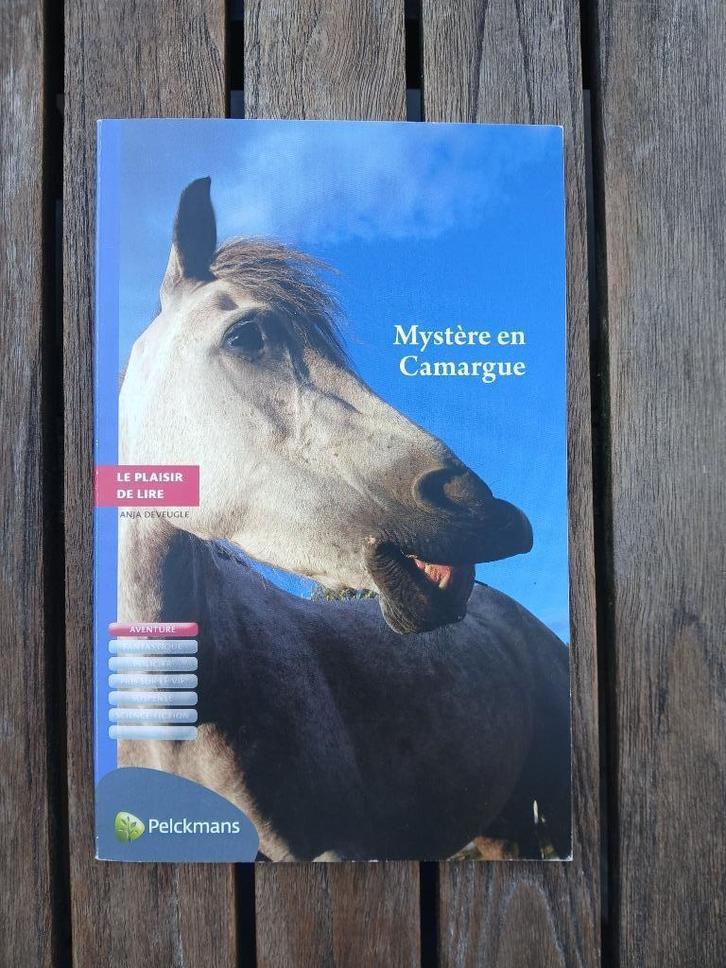 Mystère en Camargue - Frans leeboekje, Boeken, Schoolboeken, Gelezen, Frans, ASO, Ophalen of Verzenden