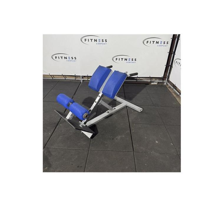 Hyper Extension, Sport en Fitness, Fitnessmaterialen, Gebruikt, Fitnessbank, Armen, Benen, Borst, Buik, Rug, Ophalen of Verzenden