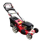 Grasmaaiers, Tuin en Terras, Grasmaaiers, Ophalen