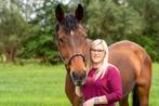 Bijrijder aangeboden, Dieren en Toebehoren, Paarden, Springpaard