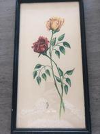 CADRE 26 X 49, Enlèvement