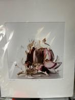 Kunstfoto Gildas Paré – Food Waste Garlic (YellowKorner, gen, Ophalen of Verzenden