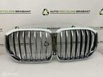 Grill BMW X5 G05 NIEUW ORIGINEEL 51137454887, Auto-onderdelen, Gebruikt, Ophalen of Verzenden, BMW, BMW