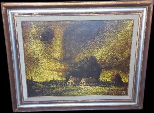 "Gezicht van mijn land" Luc De Ro, Antiek en Kunst, Kunst | Schilderijen | Klassiek, Ophalen