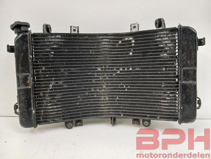 Radiateur Suzuki GSX1300BK GSX1300 B-king Bking koeler, Motos, Pièces | Suzuki, Enlèvement ou Envoi