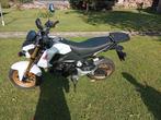 Honda MSX 125, Motos, Motos | Honda, Particulier