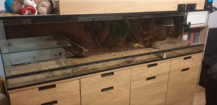 Extra groot panorama terrarium, Dieren en Toebehoren, Reptielen en Amfibieën | Toebehoren, Zo goed als nieuw, Terrarium of Paludarium