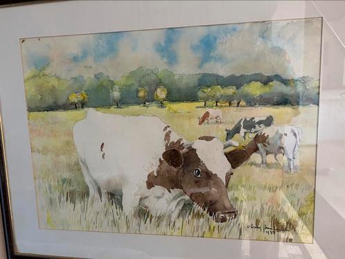 Aquarel met koeien Dries Vandeweghe 1979, Antiek en Kunst, Kunst | Schilderijen | Klassiek, Ophalen