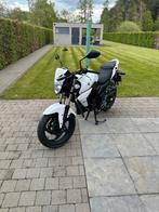 Sym Wolf 125 cc, Naked bike, Sym, Particulier, 125 cm³