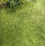Kunstgras TE KOOP, Tuin en Terras, Gras en Kunstgras, Ophalen, Nieuw, Kunstgras