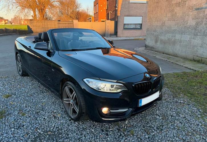 BMW Serie 2 cabriolet 220i, Auto's, BMW, Particulier, Achteruitrijcamera, Benzine, Cabriolet, Automaat, Leder, Ophalen
