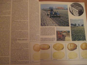 Geïllustreerde Encyclopedie – Lekturama – deel 1 beschikbaar voor biedingen