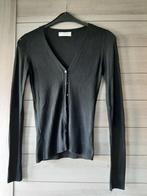 Zwarte gilet maat S, Zwart, Papillonne, Ophalen of Verzenden, Zo goed als nieuw